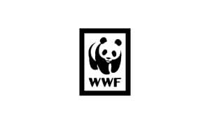 Leah Arscott Voice Over Talent WWF Logo
